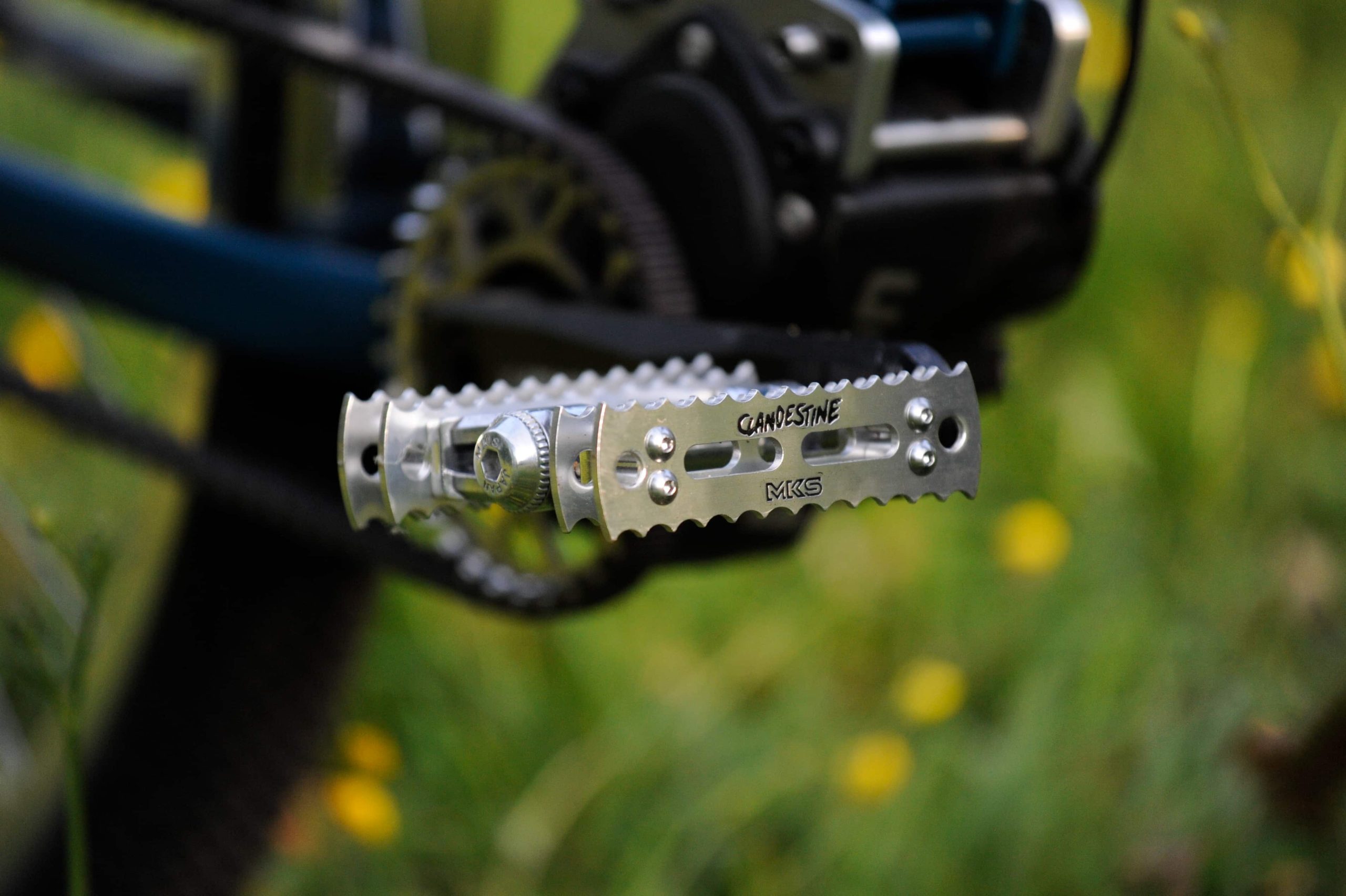 Pedals Flowers